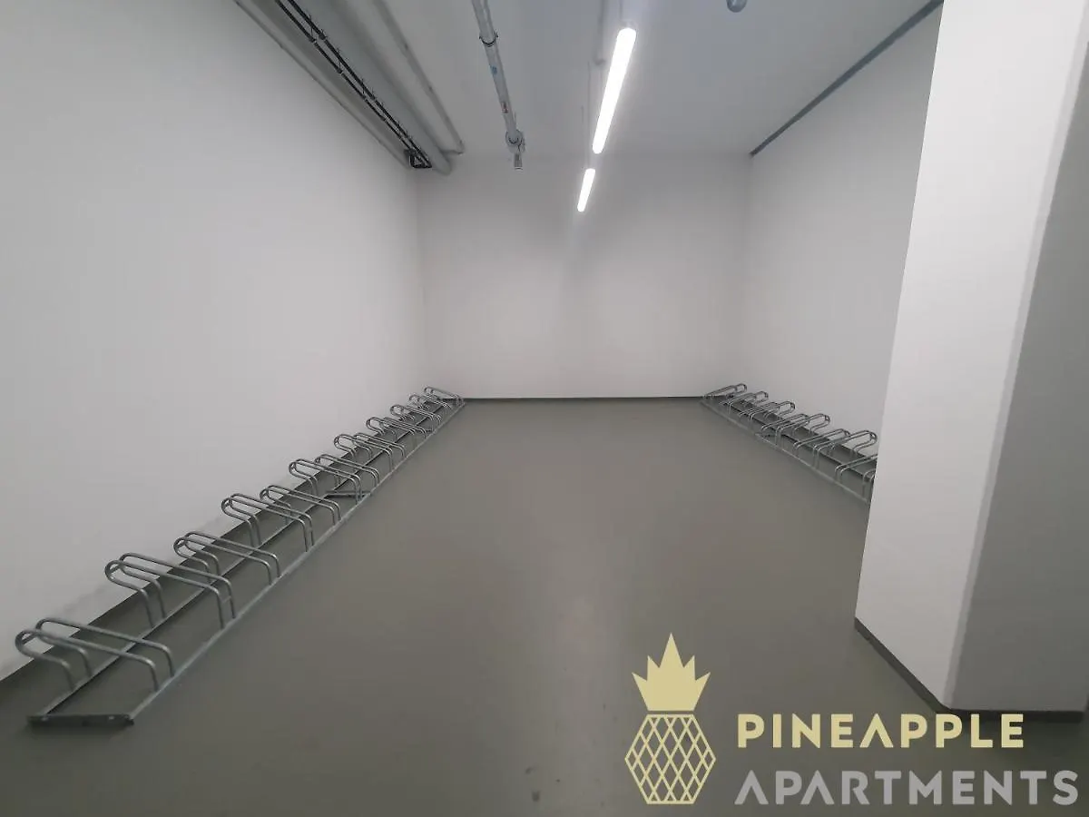 Pineapple Apartments Dresden Altstadt I - 117 Qm - 1X Free Parking